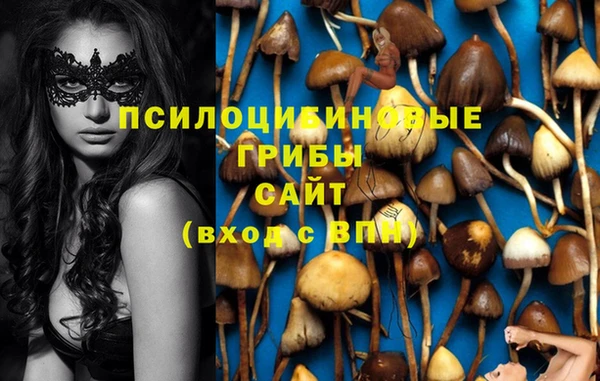 прущая мука Медвежьегорск