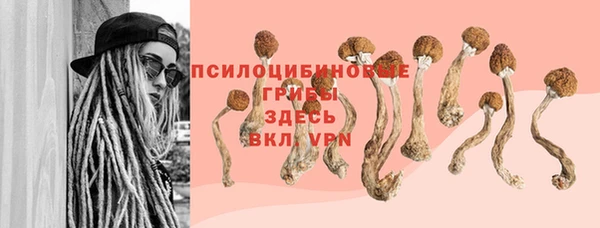 прущая мука Медвежьегорск