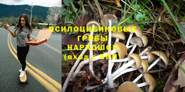 первитин Мегион