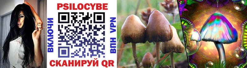 Купить где  Сергач  Псилоцибиновые грибы MAGIC MUSHROOMS 